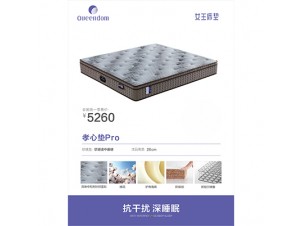 孝心垫Pro